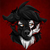 DGZYT